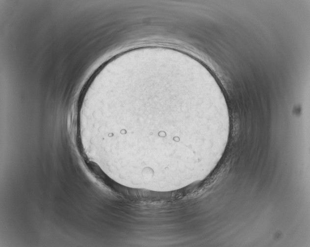 X0000116271515201001111003