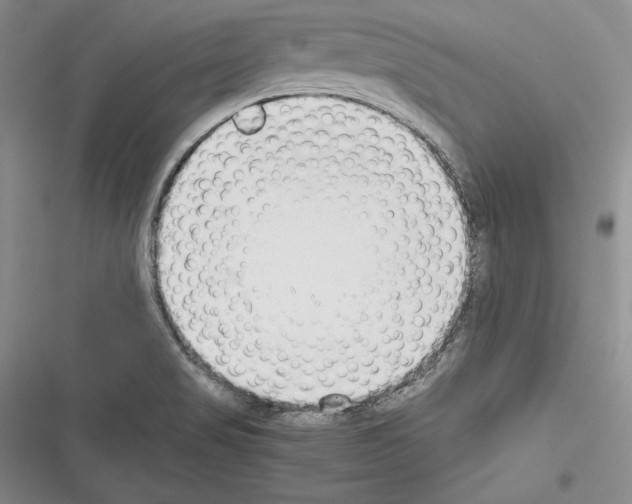 X0000116271517201001111003