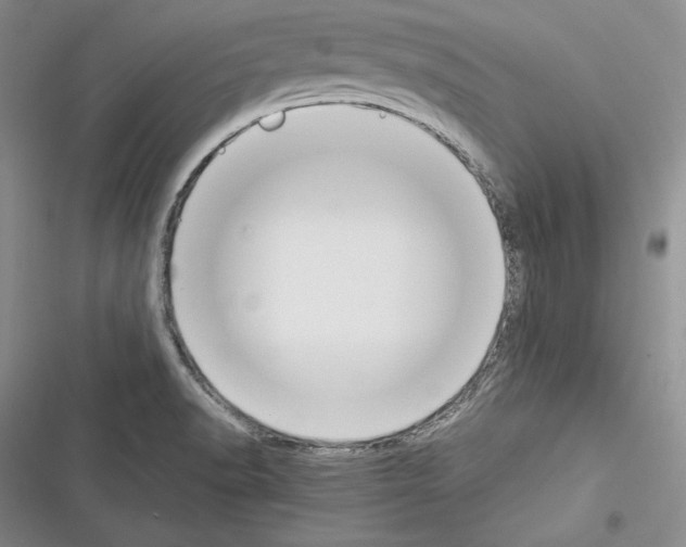X0000116271518201001111004