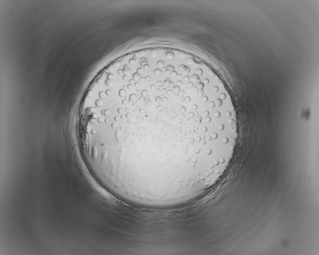 X0000116271519201001111004