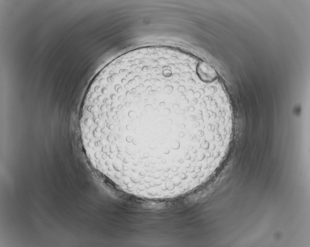X0000116271521201001111004