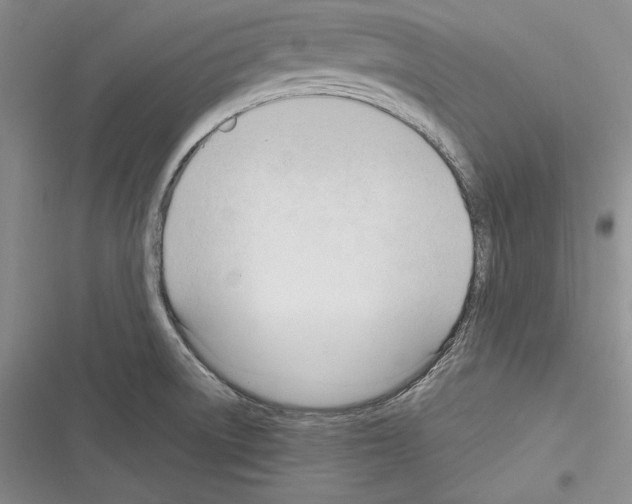 X0000116271522201001111004