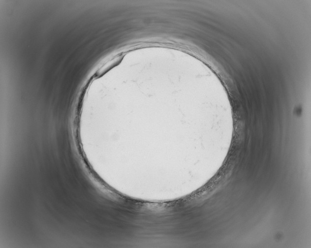 X0000116271523201001111004