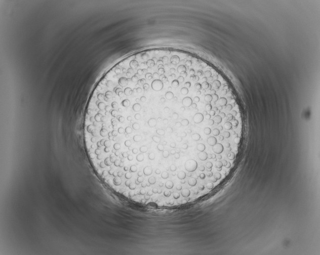 X0000116271529201001111004