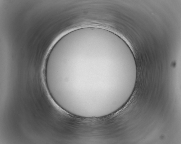X0000116271531201001111004