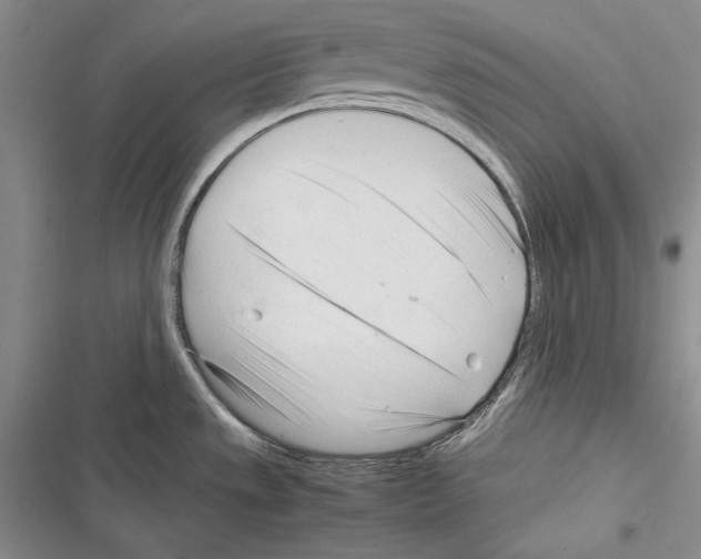 X0000116271533201001111004