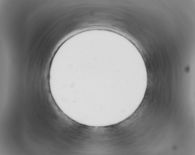 X0000116271534201001111004