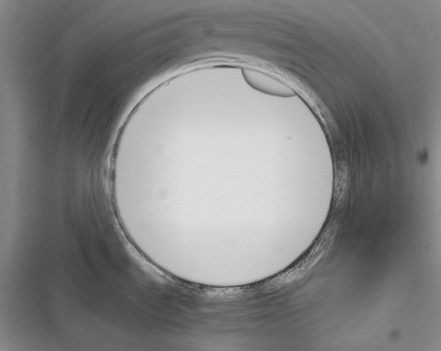 X0000116271535201001111004