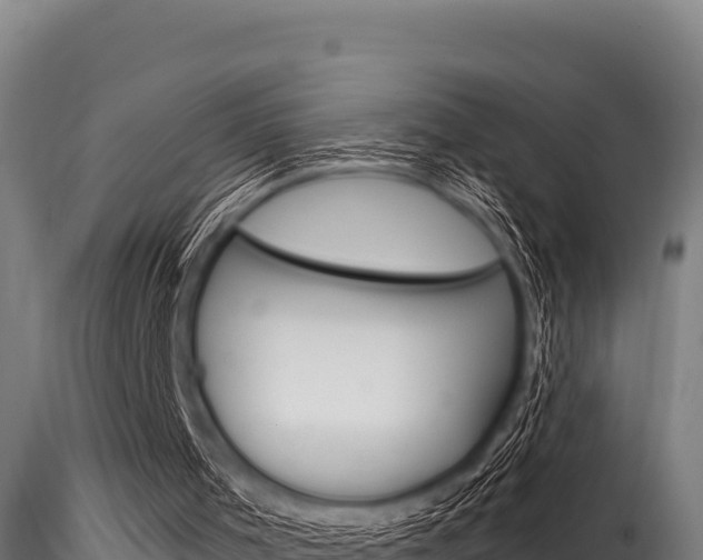 X0000116280001200911301052