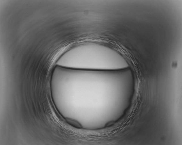 X0000116280003200911301052