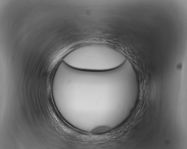 X0000116280005200911301052