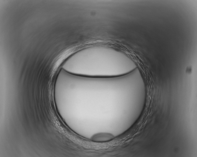 X0000116280006200911301052