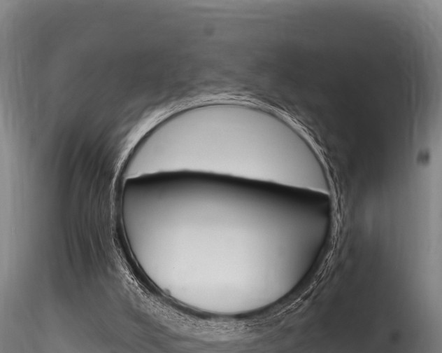 X0000116280008200911301052