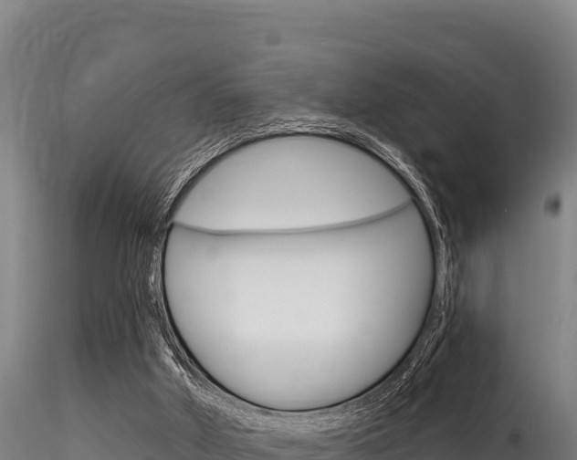 X0000116280010200911301051