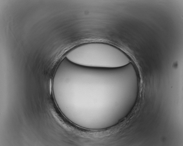 X0000116280013200911301051
