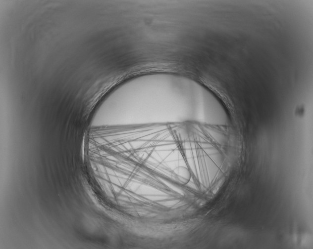 X0000116280014200911301051