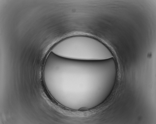 X0000116280015200911301051