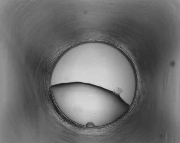 X0000116280017200911301051