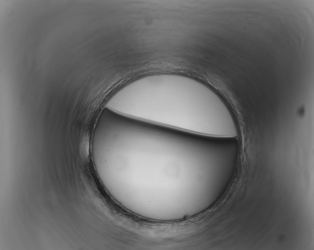 X0000116280021200911301051