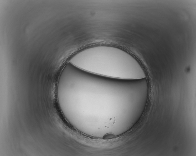 X0000116280023200911301051