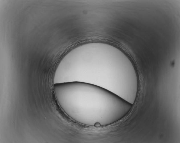 X0000116280025200911301051