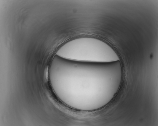 X0000116280028200911301051