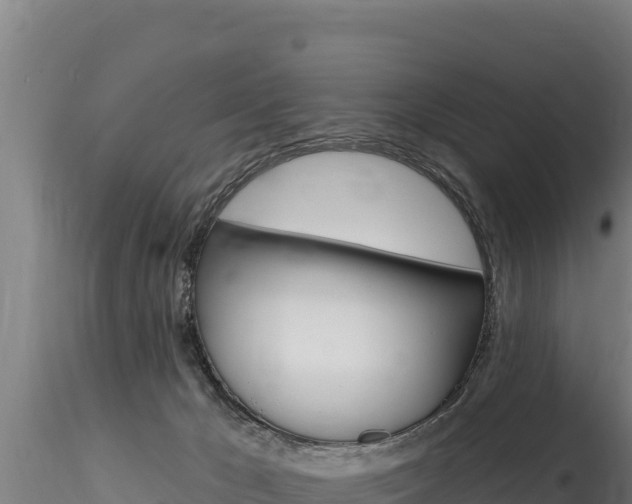 X0000116280029200911301051