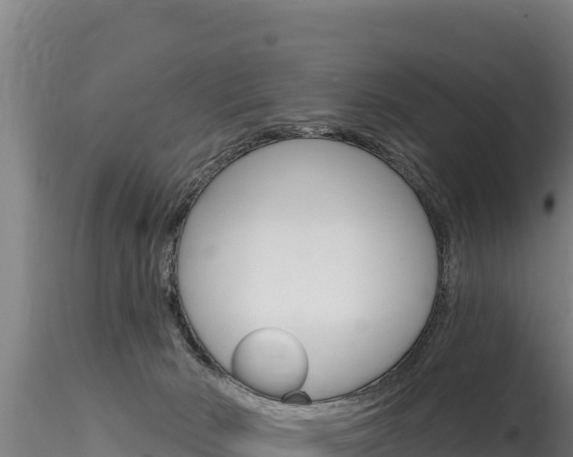 X0000116280030200911301051