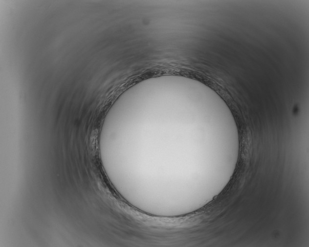X0000116280034200911301051