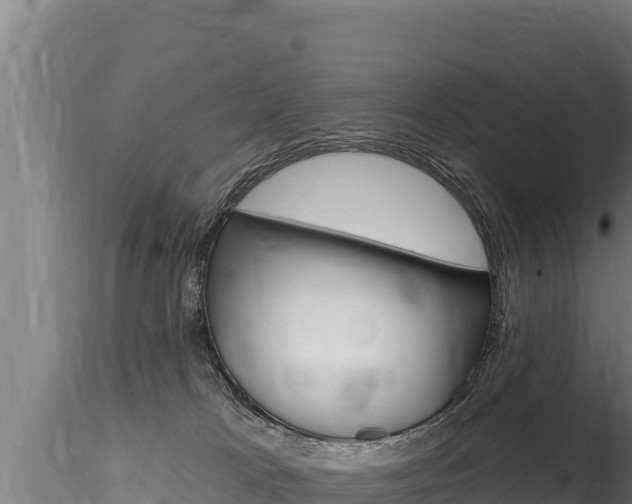 X0000116280037200911301051