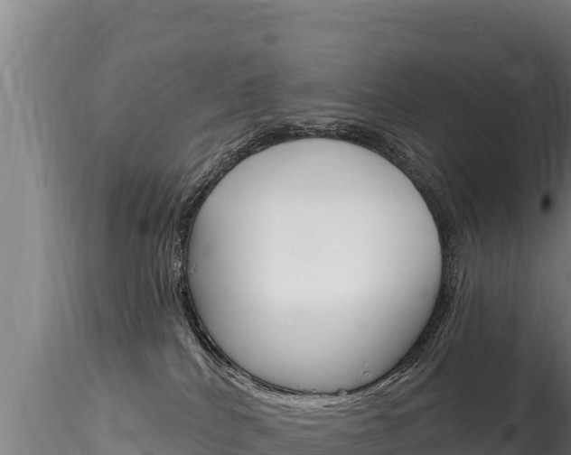 X0000116280040200911301051