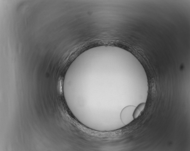 X0000116280042200911301051