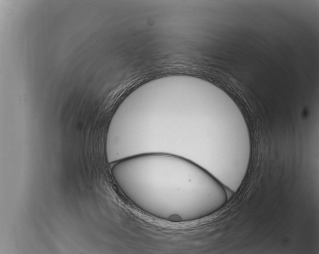 X0000116280043200911301051