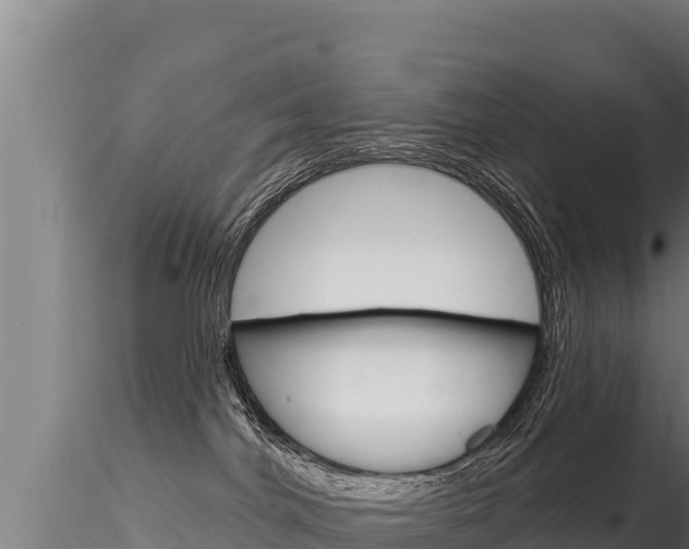 X0000116280044200911301051