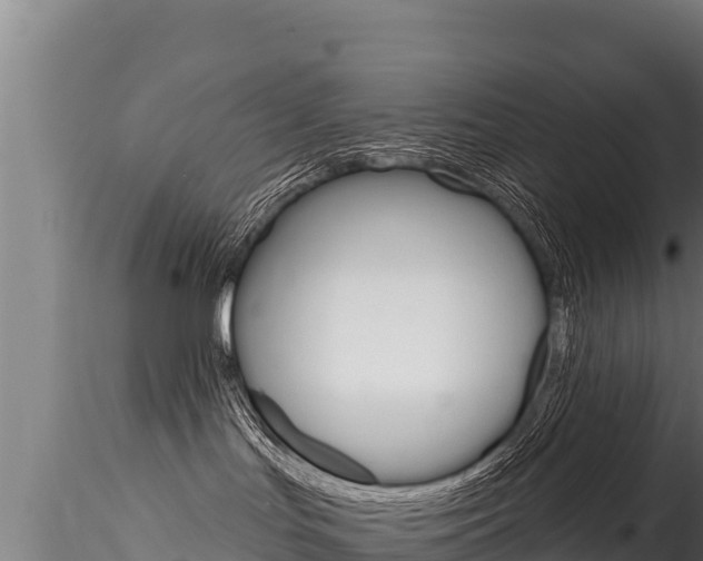 X0000116280047200911301051