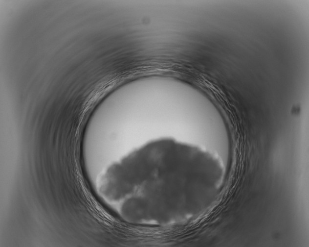 X0000116280049200911301050