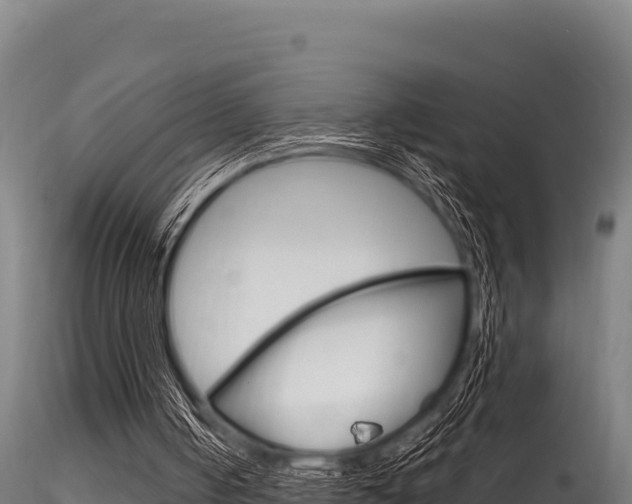 X0000116280050200911301050