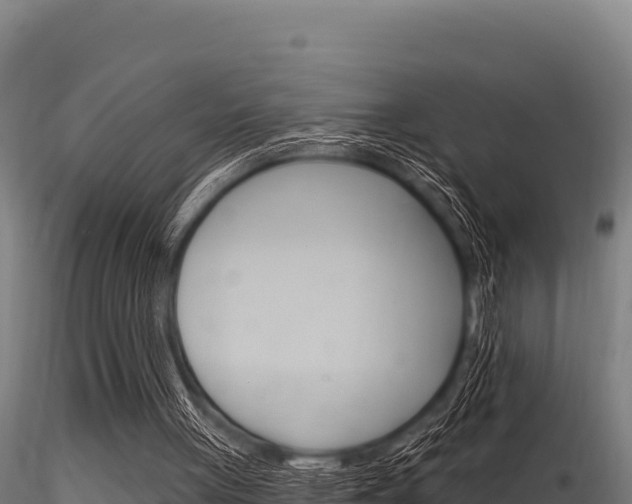 X0000116280051200911301050
