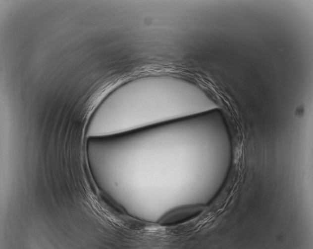 X0000116280052200911301050