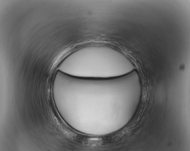 X0000116280053200911301050