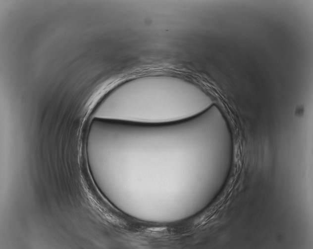 X0000116280054200911301050