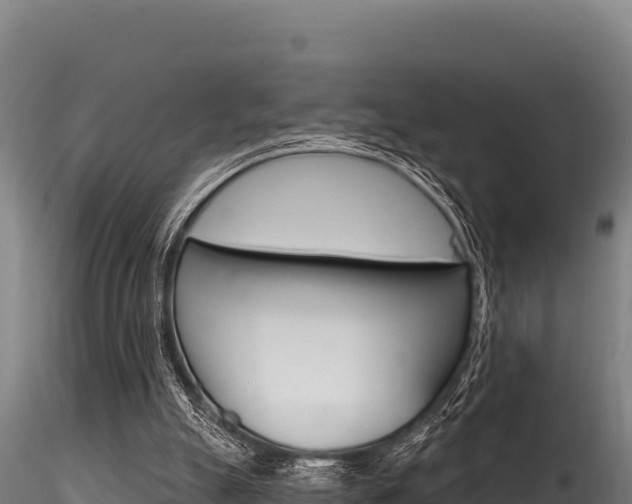 X0000116280055200911301050