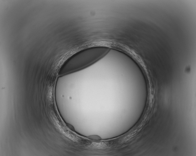 X0000116280057200911301050