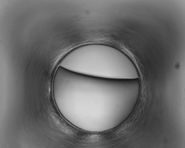 X0000116280059200911301050