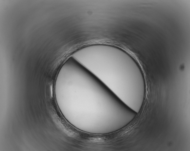 X0000116280061200911301050