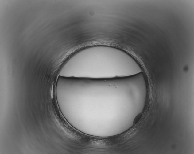 X0000116280062200911301050