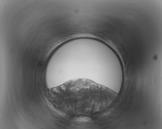 X0000116280063200911301050