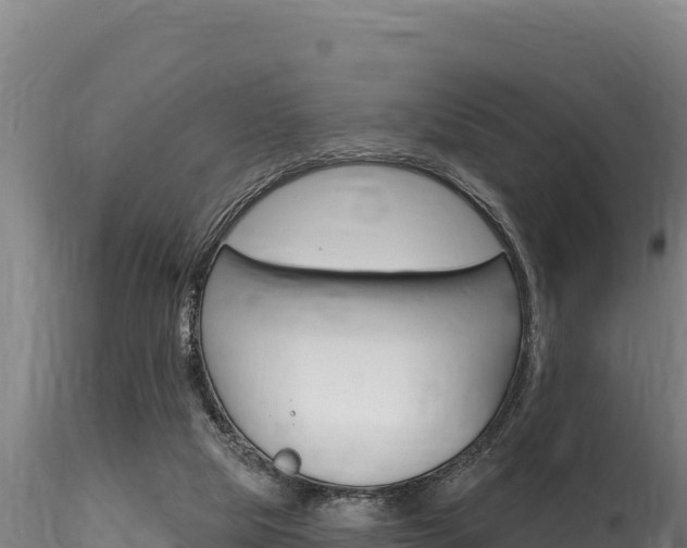 X0000116280065200911301050