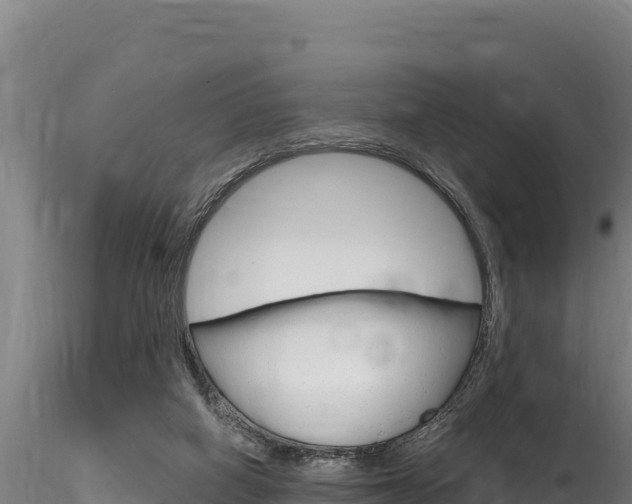 X0000116280066200911301050