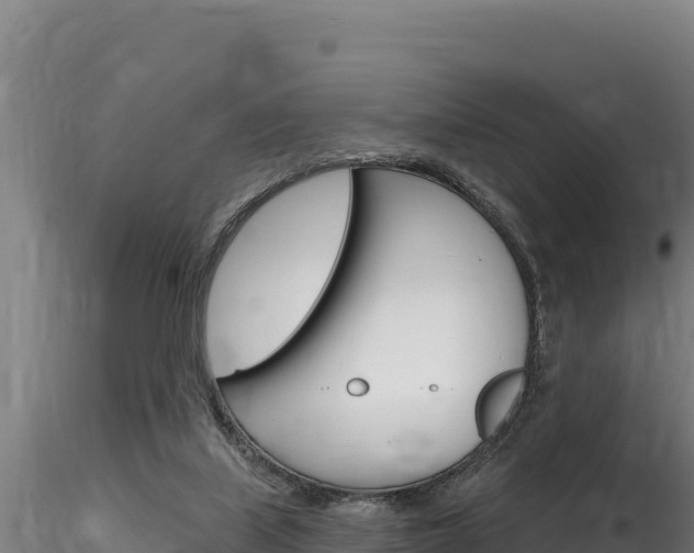 X0000116280067200911301050